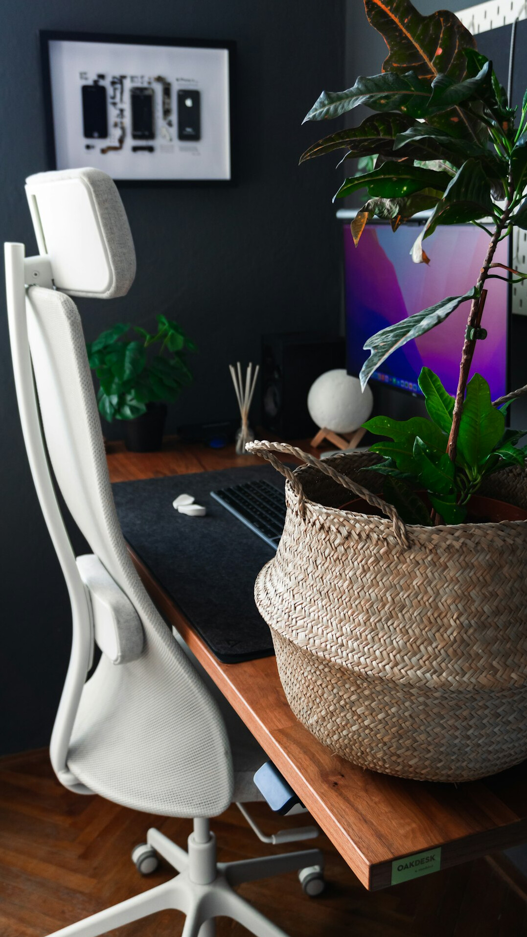 Cozy home office desk with laptop and plant